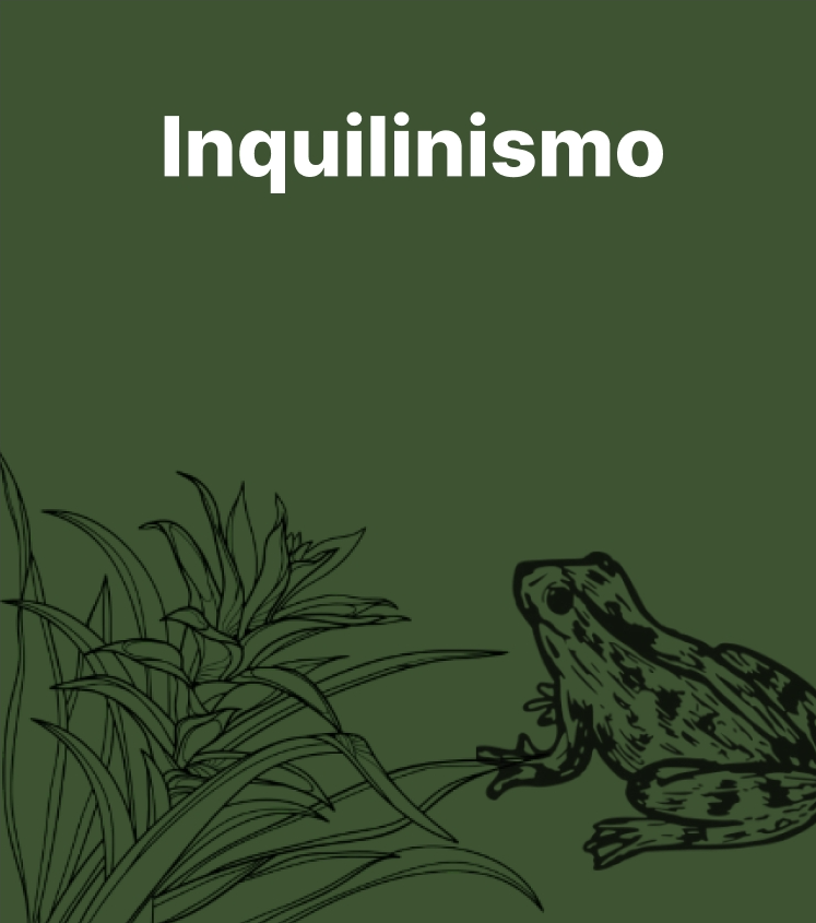 Botão Inquilinismo