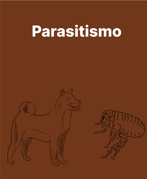 Parasitismo
