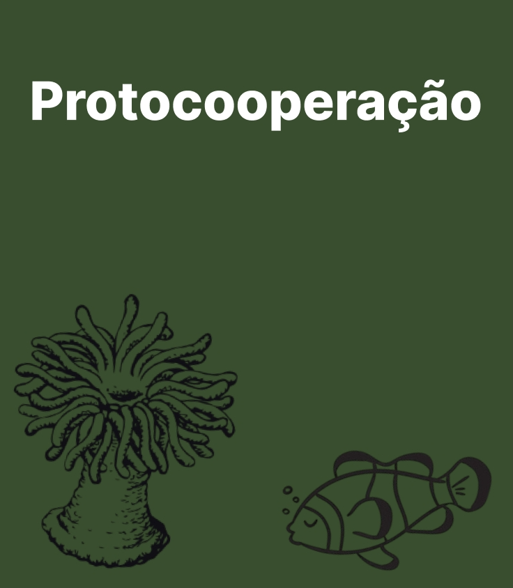 Protocooperação